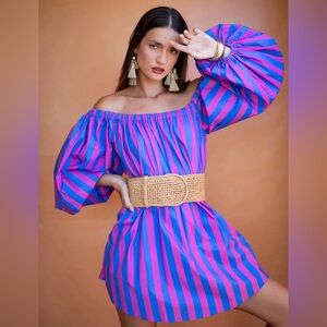 Erika Pena Cotton Blend Vibrant Pinstripe Blue Pink Harlow Short Mini Dress